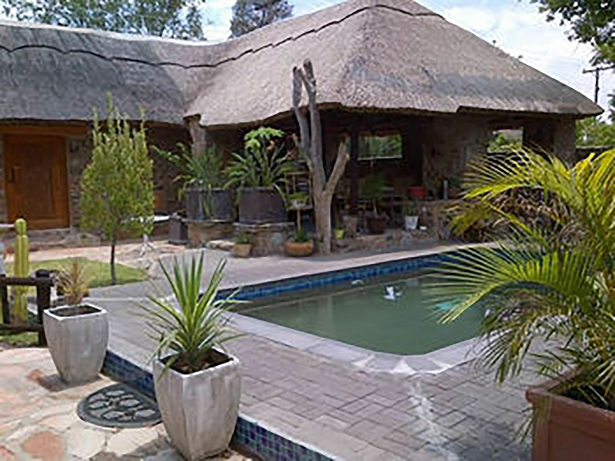 A New Earth Guest Lodge Франсістаун Екстер'єр фото